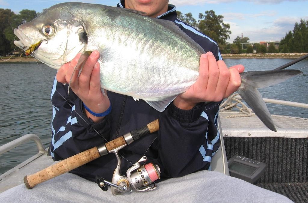 Trevally are a great by-catch when it comes to fishing pontoons and marina's © Gary Brown